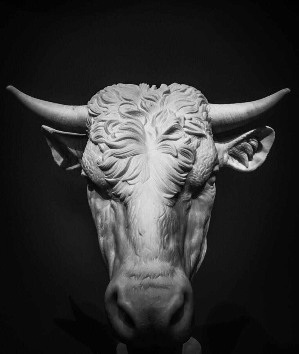 Bull Sculpture